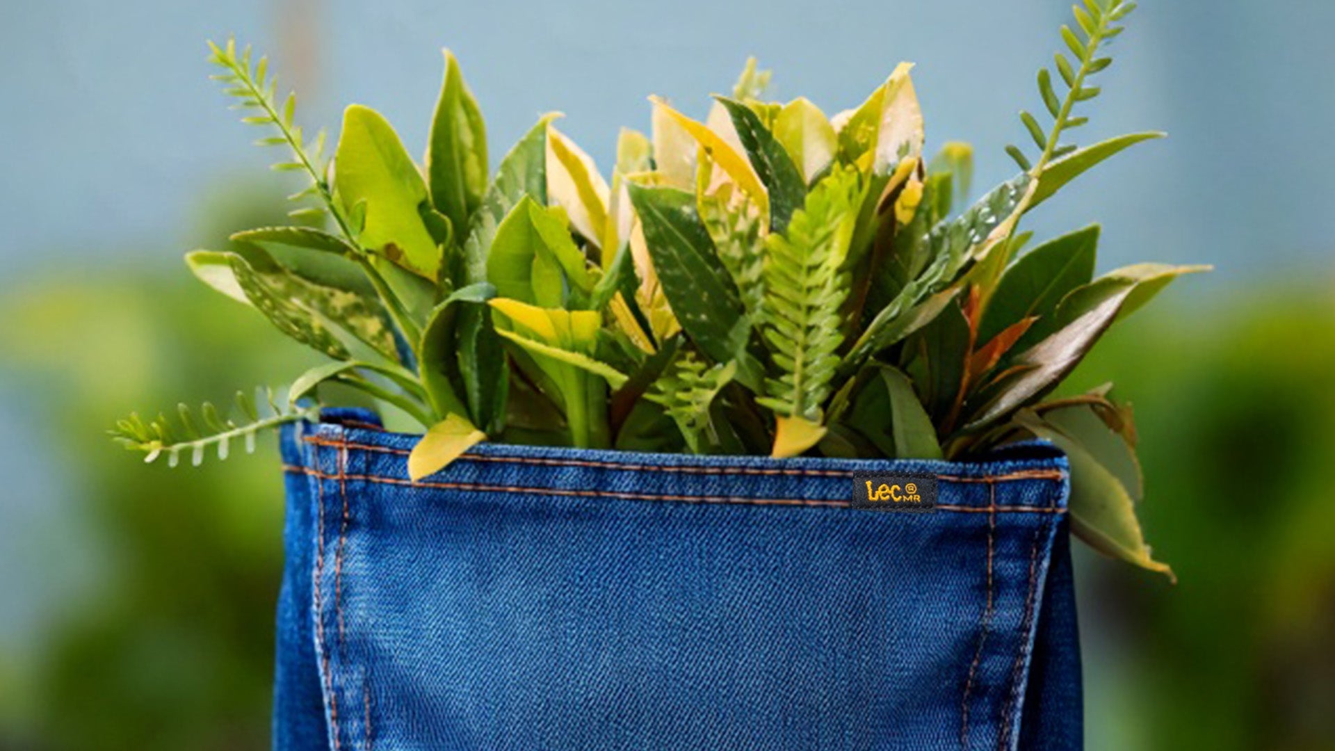 Sostenibilidad con raíces colombianas: el compromiso de Lec Lee con un futuro responsable