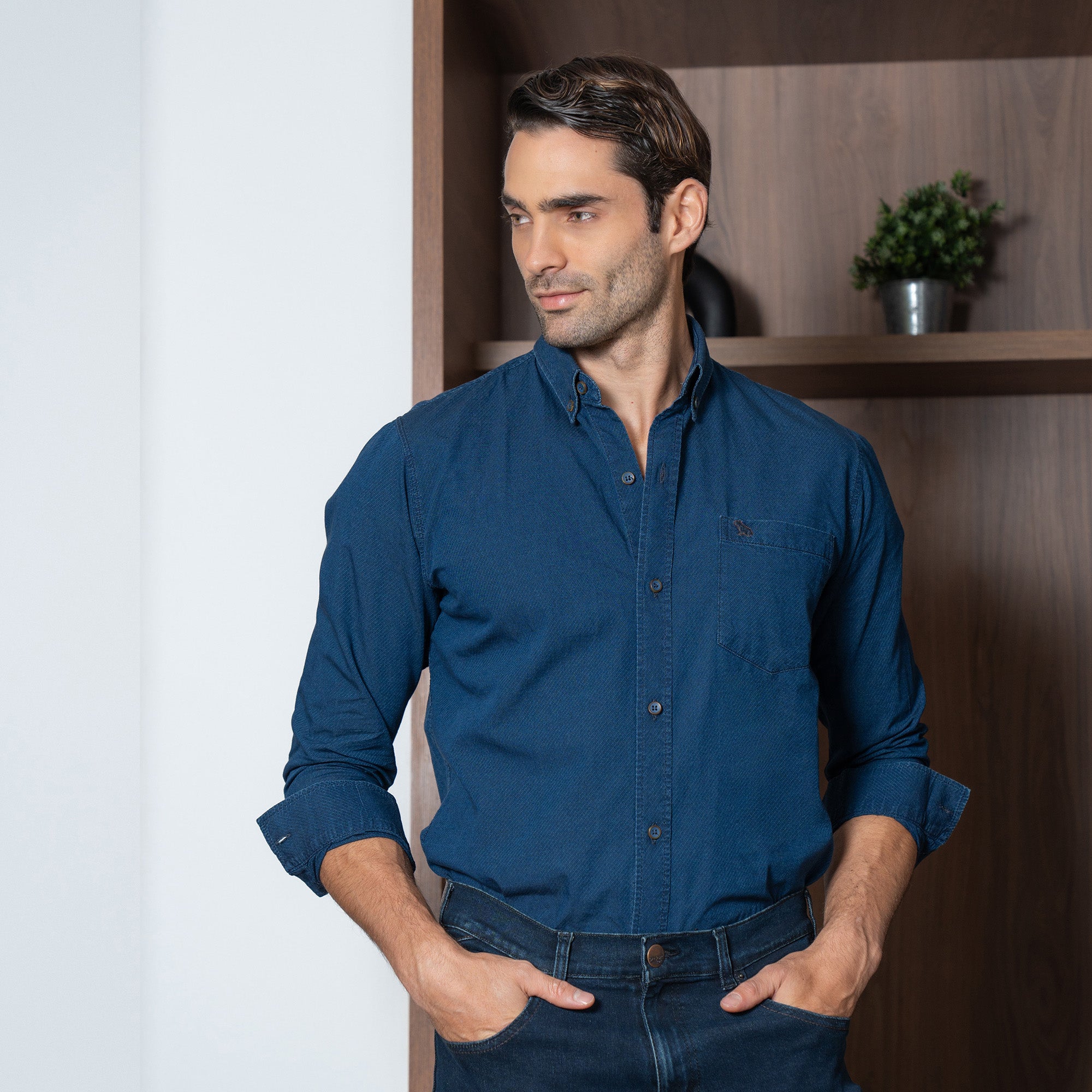 Camisas Hombre